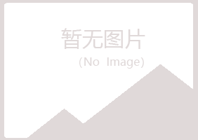 青海晓夏计算机有限公司